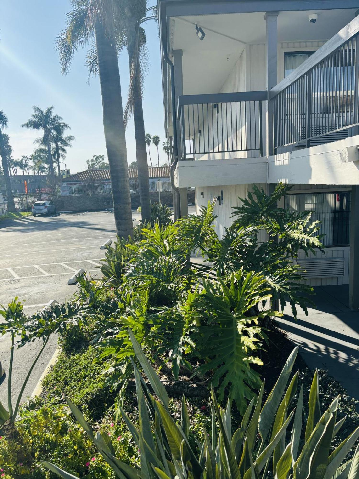 Motel 6-Santa Ana, Ca Exteriör bild